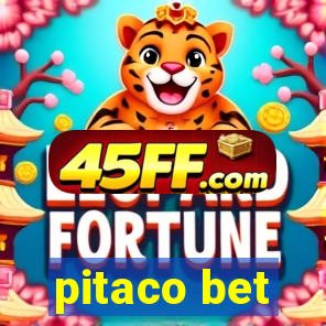 pitaco bet